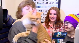 Illustration for article titled The Most Beautiful Modern Art: News Chyrons Featuring Cats